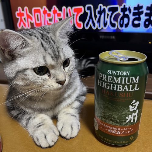 一歳になりました㊗