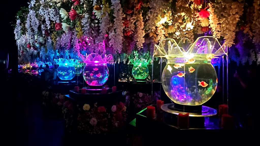 私の写真フォルダ・・・